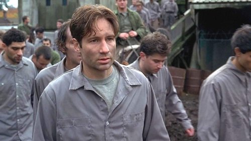 The X-Files - S4E9: Terma (2)
