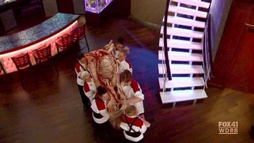 Hell's Kitchen - S9E2: 16 Chefs Compete