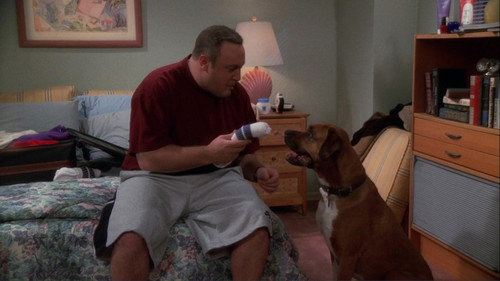 The King of Queens - S5E23: Dog Shelter