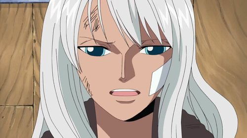 One Piece - S9E276: Fated Mother and Daughter! The Mother's Name is Olvia!