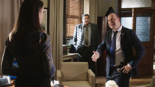 Blue Bloods - S7E7: Guilt By Association
