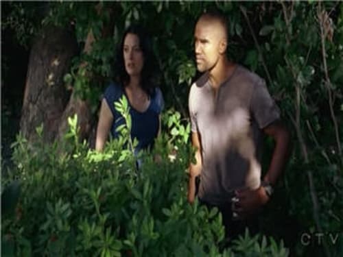 Criminal Minds - S3E6: About Face