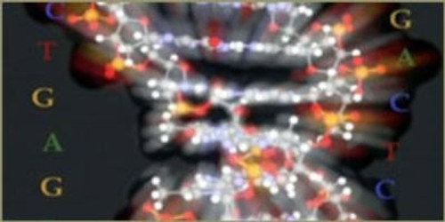 NOVA - S28E16: Cracking the Code of Life