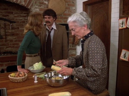 Quincy, M.E. - S5E12: Honor Thy Elders