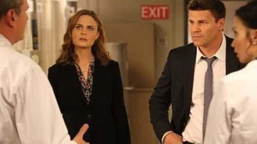 Bones - S9E21: The Cold in the Case