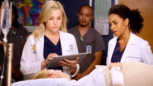 Grey's Anatomy - S13E11: Jukebox Hero