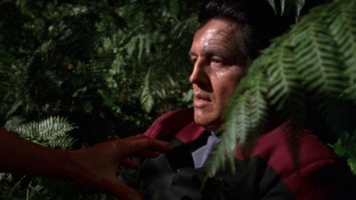 Star Trek: Voyager - S7E22: Natural Law