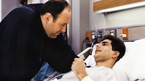 The Sopranos - S2E9: From Where to Eternity