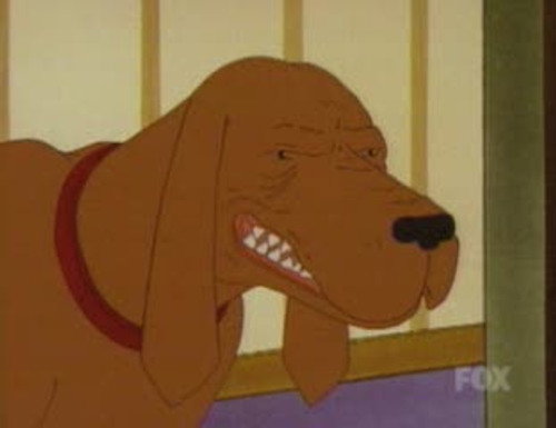 King of the Hill - S7E20: Racist Dawg