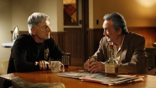 NCIS - S7E6: Outlaws and In-Laws
