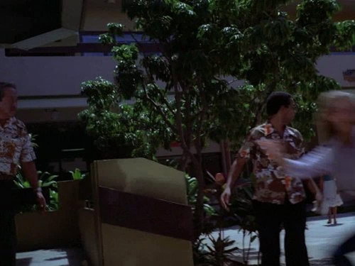 Hawaii Five-O - S12E14: For Old Times Sake