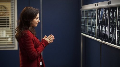 Grey's Anatomy - S8E15: Have You Seen Me Lately?