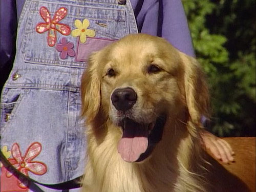 Full House - S8E1: Comet's Excellent Adventure