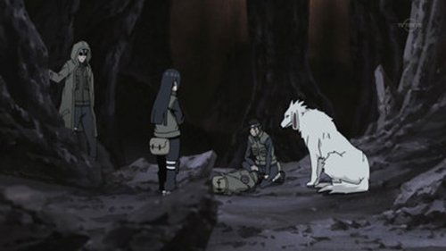 Naruto Shippūden - S13E279: White Zetsu's Trap