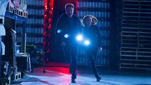 The X-Files - S11E7: Rm9sbG93ZXJz