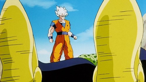 Dragon Ball Z - S6E15: The Fight is Over