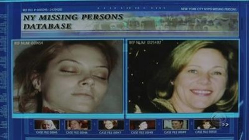 CSI: NY - S1E19: Crime and Misdemeanor