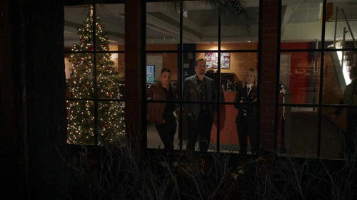 NCIS - S17E10: The North Pole