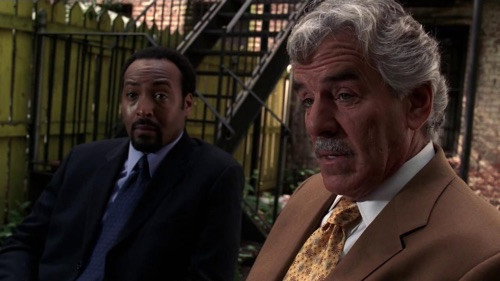 Law & Order - S15E4: Coming Down Hard
