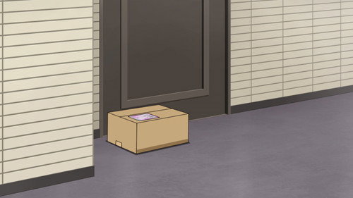 Detective Conan - S1E1200: The Porch Pirate Epidemic