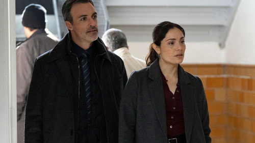 Law & Order - S24E19: Play with Fire (I)