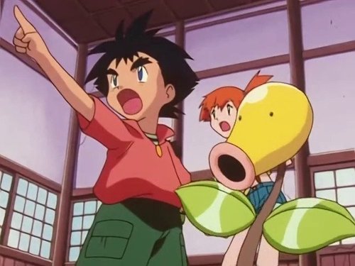 Pokémon - S3E14: A Bout With Sprout