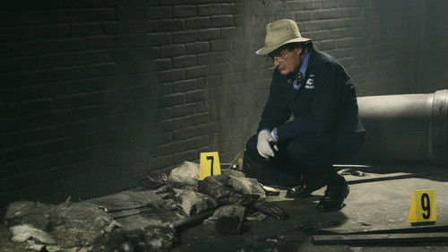 NCIS - S4E19: Grace Period