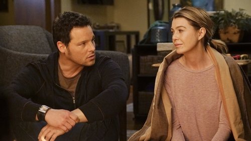 Grey's Anatomy - S12E16: When It Hurts So Bad