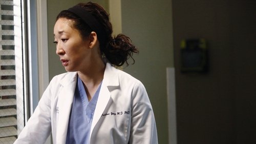Grey's Anatomy - S8E17: One Step Too Far