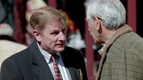 NYPD Blue - S8E15: Love Hurts