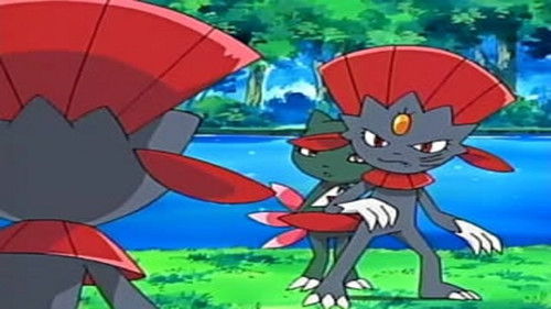 Pokémon - S9E39: Duels of the Jungle!