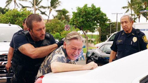 Hawaii Five-0 - S8E13: O ka mea ua hala, ua hala ia (What Is Gone Is Gone)