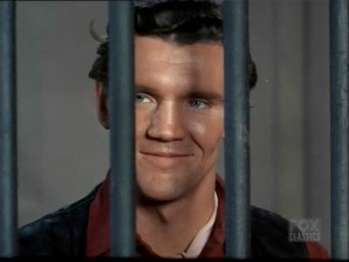 Bonanza - S9E4: Judgment at Olympus