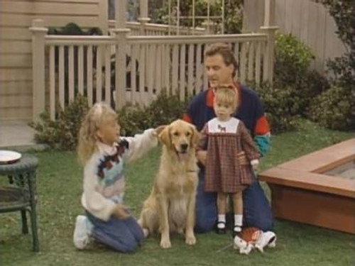 Full House - S3E7: And They Call It Puppy Love