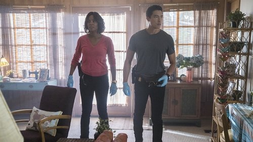Criminal Minds - S13E2: To a Better Place