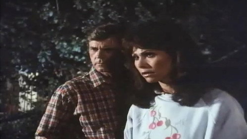 Knots Landing - S1E13: Bottom of the Bottle (2)
