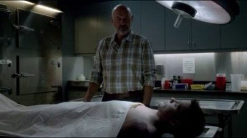 Hawaii Five-0 - S4E5: Kupu‘eu (Fallen Hero)