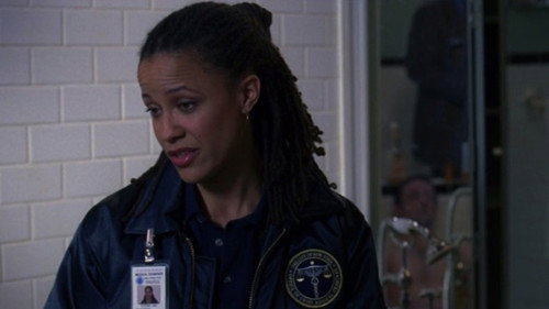 Law & Order - S16E13: Heart of Darkness
