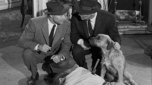 Perry Mason - S1E17: The Case of the Sun Bather's Diary
