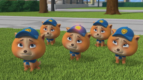 PAW Patrol - S10E19: Mighty Pups Stop the Hiccups
