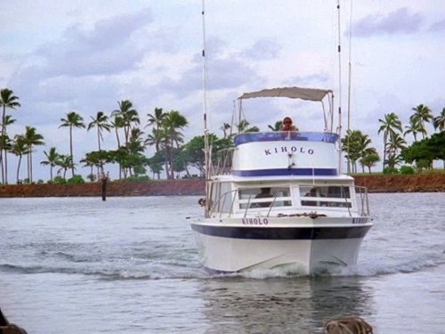 Hawaii Five-O - S9E10: Double Exposure