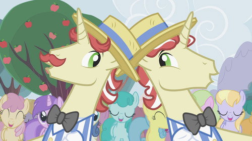 My Little Pony: Friendship Is Magic - S2E15: The Super Speedy Cider Squeezy 6000