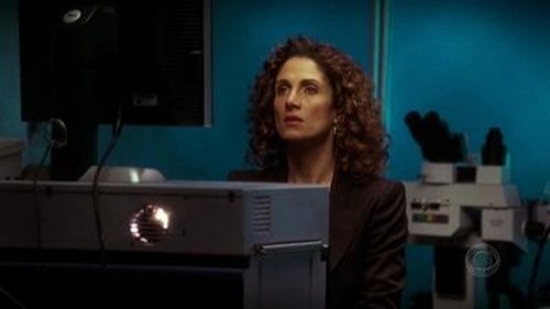 CSI: NY - S1E17: The Fall