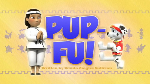 PAW Patrol - S2E47: Pup-Fu!