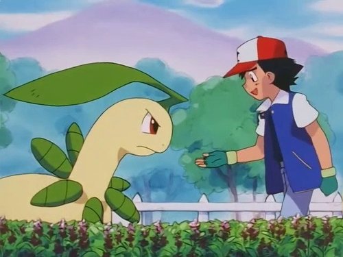 Pokémon - S4E43: Turning Over a New Bayleef