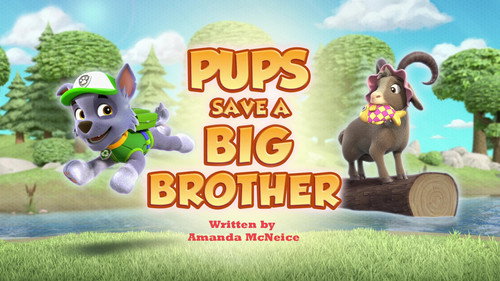 PAW Patrol - S12E9: Pups Save a Big Brother