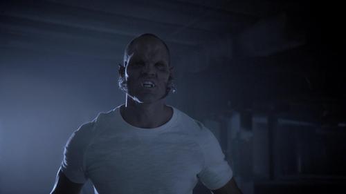 Teen Wolf - S3E5: Frayed