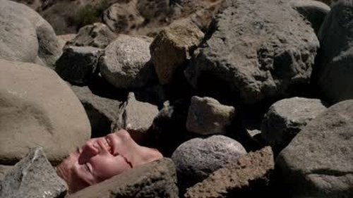 Criminal Minds - S9E6: In the Blood