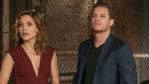 Chicago P.D. - S2E8: Assignment of the Year