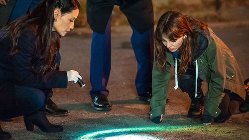 Elementary - S3E8: End of Watch